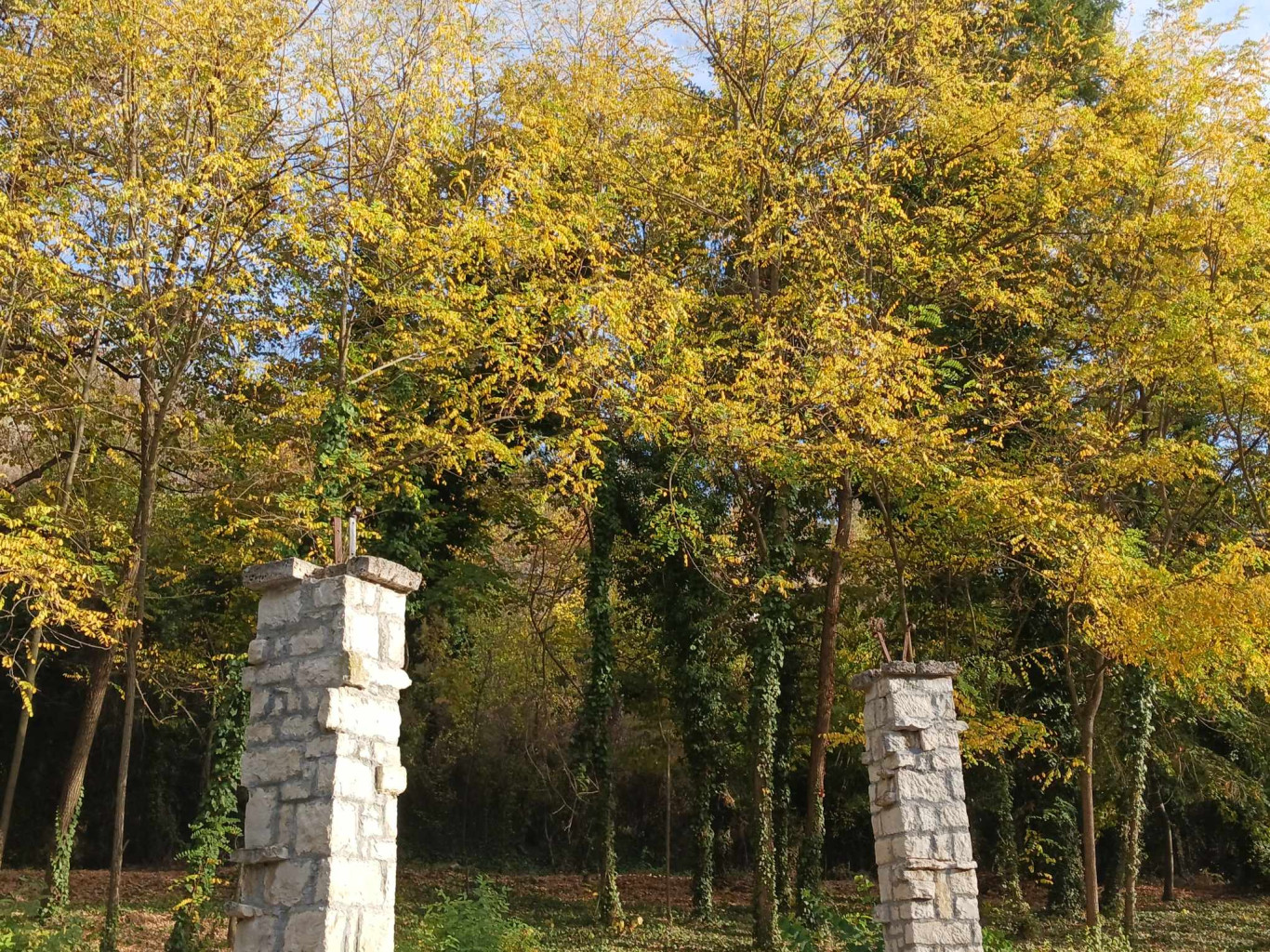 23.10.2023 г.